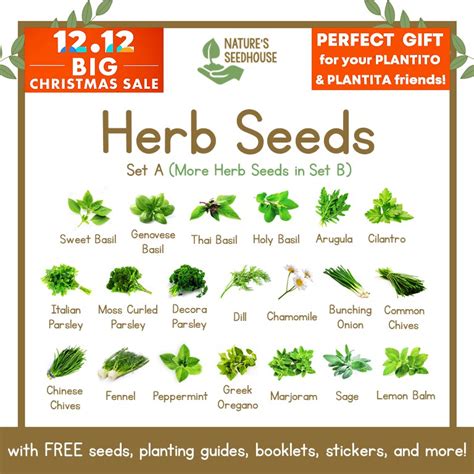 medicinal seeds list